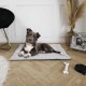 THE CONCEPT FACTORY, AN5254 Pet Calming Bed 43 x 48 x 50 cm, Optimal Comfort for Your Cat, Cute and Decorative Design, Play and Rest Room, Easy Maintenance THE CONCEPT FACTORY, AN5254 Pet Calming Bed 43 x 48 x 50 cm, Optimal Comfort for Your Cat, Cute and Decorative Design, Play and Rest Room, Easy Maintenance