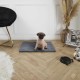 THE CONCEPT FACTORY, AN5254 Pet Calming Bed 43 x 48 x 50 cm, Optimal Comfort for Your Cat, Cute and Decorative Design, Play and Rest Room, Easy Maintenance THE CONCEPT FACTORY, AN5254 Pet Calming Bed 43 x 48 x 50 cm, Optimal Comfort for Your Cat, Cute and Decorative Design, Play and Rest Room, Easy Maintenance