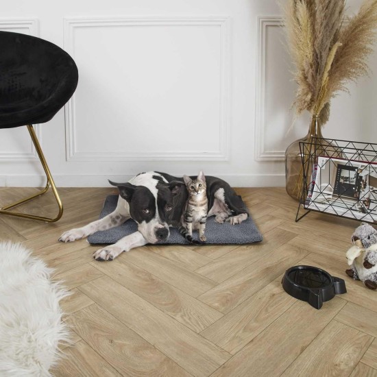 THE CONCEPT FACTORY, AN5254 Pet Calming Bed 43 x 48 x 50 cm, Optimal Comfort for Your Cat, Cute and Decorative Design, Play and Rest Room, Easy Maintenance THE CONCEPT FACTORY, AN5254 Pet Calming Bed 43 x 48 x 50 cm, Optimal Comfort for Your Cat, Cute and Decorative Design, Play and Rest Room, Easy Maintenance