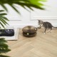 THE CONCEPT FACTORY, AN5254 Pet Calming Bed 43 x 48 x 50 cm, Optimal Comfort for Your Cat, Cute and Decorative Design, Play and Rest Room, Easy Maintenance THE CONCEPT FACTORY, AN5254 Pet Calming Bed 43 x 48 x 50 cm, Optimal Comfort for Your Cat, Cute and Decorative Design, Play and Rest Room, Easy Maintenance