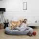 THE CONCEPT FACTORY, AN5254 Pet Calming Bed 43 x 48 x 50 cm, Optimal Comfort for Your Cat, Cute and Decorative Design, Play and Rest Room, Easy Maintenance THE CONCEPT FACTORY, AN5254 Pet Calming Bed 43 x 48 x 50 cm, Optimal Comfort for Your Cat, Cute and Decorative Design, Play and Rest Room, Easy Maintenance
