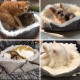 ToKinCen Cat Bed, Pet Bed for Cats, Small Dogs, Washable 2-in-1 Cat Bed, Plush Soft Sleeping Cat Bed, Dog Bed, Cat Sofa, Fluffy Mat, Cat Bed, Cat Blanket (Grey) ToKinCen Cat Bed, Pet Bed for Cats, Small Dogs, Washable 2-in-1 Cat Bed, Plush Soft Sleeping Cat Bed, Dog Bed, Cat Sofa, Fluffy Mat, Cat Bed, Cat Blanket (Grey)