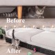 Toy Blocker Couch Protection for Pets, Sofa Protection Cat Plastic Under Furniture Gap Protector for Sofa and Other Furniture (Black, Pack of 12, 6 Feet) Toy Blocker Couch Protection for Pets, Sofa Protection Cat Plastic Under Furniture Gap Protector for Sofa and Other Furniture (Black, Pack of 12, 6 Feet)