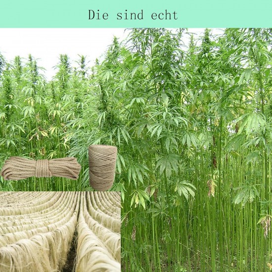 Treadstar, sisal rope for scratching post, natural jute cord, sisal rope, cord garden cord, package cord, hemp rope, cat accessories, scratching post rope, 100% natural hemp rope (6 mm - 100 m) Treadstar, sisal rope for scratching post, natural jute cord, sisal rope, cord garden cord, package cord, hemp rope, cat accessories, scratching post rope, 100% natural hemp rope (6 mm - 100 m)