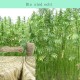 Treadstar, sisal rope for scratching post, natural jute cord, sisal rope, cord garden cord, package cord, hemp rope, cat accessories, scratching post rope, 100% natural hemp rope (6 mm - 100 m) Treadstar, sisal rope for scratching post, natural jute cord, sisal rope, cord garden cord, package cord, hemp rope, cat accessories, scratching post rope, 100% natural hemp rope (6 mm - 100 m)