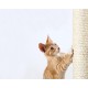 Trixie 44000 replacement trunk, sisal, ø 11 × 30 cm, natural Trixie 44000 replacement trunk, sisal, ø 11 × 30 cm, natural