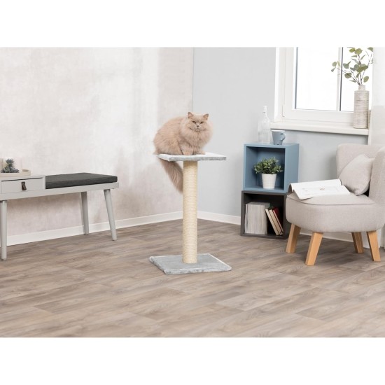 Trixie Espejo Scratching Post, 69 cm, Platinum Grey Trixie Espejo Scratching Post, 69 cm, Platinum Grey