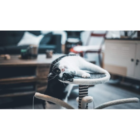 Tyrol 44cm Grey White Post