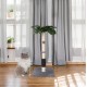 ULTRALARK Cat Scratching Post 80cm with High Quality Sisal Rope, Cute Cat Tree with Swinging and Jumping Ball Toy for Small Cats (Monstera) ULTRALARK Cat Scratching Post 80cm with High Quality Sisal Rope, Cute Cat Tree with Swinging and Jumping Ball Toy for Small Cats (Monstera)