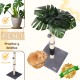 ULTRALARK Cat Scratching Post 80cm with High Quality Sisal Rope, Cute Cat Tree with Swinging and Jumping Ball Toy for Small Cats (Monstera) ULTRALARK Cat Scratching Post 80cm with High Quality Sisal Rope, Cute Cat Tree with Swinging and Jumping Ball Toy for Small Cats (Monstera)