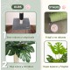 ULTRALARK Cat Scratching Post 80cm with High Quality Sisal Rope, Cute Cat Tree with Swinging and Jumping Ball Toy for Small Cats (Monstera) ULTRALARK Cat Scratching Post 80cm with High Quality Sisal Rope, Cute Cat Tree with Swinging and Jumping Ball Toy for Small Cats (Monstera)