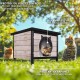VOUNOT® Wooden Cat House, Weatherproof Cat House with Swing Door in Cat Ear Design & Height-Adjustable Feet, Cat House for Outdoors, Grey, 57 x 45 x 43 cm VOUNOT® Wooden Cat House, Weatherproof Cat House with Swing Door in Cat Ear Design & Height-Adjustable Feet, Cat House for Outdoors, Grey, 57 x 45 x 43 cm