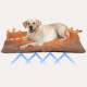 Vulevirtue Cat Blanket, Self-Heating Blanket, Self-Heating Blanket, Cat & Dogs, Heat Blanket, Cat, Pets, Cat Heat Blanket, Self-Warming, Washable Thermal Blanket for Car, Cat Pad, Indoor (70 x 45 cm) Vulevirtue Cat Blanket, Self-Heating Blanket, Self-Heating Blanket, Cat & Dogs, Heat Blanket, Cat, Pets, Cat Heat Blanket, Self-Warming, Washable Thermal Blanket for Car, Cat Pad, Indoor (70 x 45 cm)