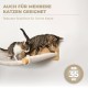 WOOWOOD® Climbing Wall Cats Including 2 x Cat Stairs Wall [Solid Wood] I Cat Scratching Post I Hammock Cat I Wall Scratching Post I Cat Furniture I Cat Wall I Cat Climbing Wall Set (5 Pieces)