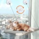 Window Cat Hammock Up to 25 kg, 55 x 35 cm, Window Lounger, Khaki-Coloured, Reinforced Window Seat with Strong Suction Cup, Washable Hanging Bed