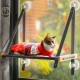 Window Lounger for Cats - Cat Bed Window - Cat Hammock - Cat Hammock - Cat Hammock - Foldable Cat Hammock 54 cm - Solid Wood