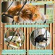 Window Lounger for Cats - Cat Bed Window - Cat Hammock - Cat Hammock - Cat Hammock - Foldable Cat Hammock 54 cm - Solid Wood