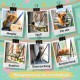 Window Lounger for Cats - Cat Bed Window - Cat Hammock - Cat Hammock - Cat Hammock - Foldable Cat Hammock 54 cm - Solid Wood
