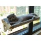 Wooden Hammock for Cats, 61 x 29 cm, Window Seats, Sleeping / Sunbathing Place, Window Lounger, Powerful Suction Cups Up to 15 kg, Safe and Robust Wooden Hammock for Cats, 61 x 29 cm, Window Seats, Sleeping / Sunbathing Place, Window Lounger, Powerful Suction Cups Up to 15 kg, Safe and Robust