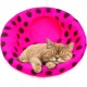 Woolygon Cats of The Wild Series Wool Cat Cave, 100% Merino Wool Handmade Eco-Friendly Felt Cat Den for Indoor Cats and Kittens Woolygon Cats of The Wild Series Wool Cat Cave, 100% Merino Wool Handmade Eco-Friendly Felt Cat Den for Indoor Cats and Kittens