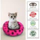 Woolygon Cats of The Wild Series Wool Cat Cave, 100% Merino Wool Handmade Eco-Friendly Felt Cat Den for Indoor Cats and Kittens Woolygon Cats of The Wild Series Wool Cat Cave, 100% Merino Wool Handmade Eco-Friendly Felt Cat Den for Indoor Cats and Kittens