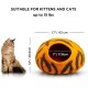 Woolygon Cats of The Wild Series Wool Cat Cave, 100% Merino Wool Handmade Eco-Friendly Felt Cat Den for Indoor Cats and Kittens Woolygon Cats of The Wild Series Wool Cat Cave, 100% Merino Wool Handmade Eco-Friendly Felt Cat Den for Indoor Cats and Kittens