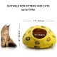 Woolygon Cats of The Wild Series Wool Cat Cave, 100% Merino Wool Handmade Eco-Friendly Felt Cat Den for Indoor Cats and Kittens Woolygon Cats of The Wild Series Wool Cat Cave, 100% Merino Wool Handmade Eco-Friendly Felt Cat Den for Indoor Cats and Kittens