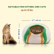Woolygon Cats of The Wild Series Wool Cat Cave, 100% Merino Wool Handmade Eco-Friendly Felt Cat Den for Indoor Cats and Kittens Woolygon Cats of The Wild Series Wool Cat Cave, 100% Merino Wool Handmade Eco-Friendly Felt Cat Den for Indoor Cats and Kittens