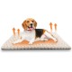 XIAPIA Self-Heating Blanket Cat and Dogs, Fluffy Self-Warming Cat Blanket without Cable, Heat Blanket Electric Blanket without Electricity, Washable Thermal Blanket Cat Cushion (Grey, 90 x 60) XIAPIA Self-Heating Blanket Cat and Dogs, Fluffy Self-Warming Cat Blanket without Cable, Heat Blanket Electric Blanket without Electricity, Washable Thermal Blanket Cat Cushion (Grey, 90 x 60)