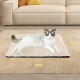 XIAPIA Self-Heating Blanket Cat and Dogs, Fluffy Self-Warming Cat Blanket without Cable, Heat Blanket Electric Blanket without Electricity, Washable Thermal Blanket Cat Cushion (Grey, 90 x 60) XIAPIA Self-Heating Blanket Cat and Dogs, Fluffy Self-Warming Cat Blanket without Cable, Heat Blanket Electric Blanket without Electricity, Washable Thermal Blanket Cat Cushion (Grey, 90 x 60)