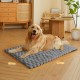 XIAPIA Self-Heating Blanket Cat and Dogs, Fluffy Self-Warming Cat Blanket without Cable, Heat Blanket Electric Blanket without Electricity, Washable Thermal Blanket Cat Cushion (Grey, 90 x 60) XIAPIA Self-Heating Blanket Cat and Dogs, Fluffy Self-Warming Cat Blanket without Cable, Heat Blanket Electric Blanket without Electricity, Washable Thermal Blanket Cat Cushion (Grey, 90 x 60)