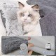Xiuyer Cat Blanket, Self-Warming, Self-Heating Cat Blanket, Self-Warming Cat Blanket, 2-in-1 Cat Bed, Pet Bed, Cat Sofa, Washable Heat Blanket Cat, Fluffy and Soft, 61 x 51 cm Xiuyer Cat Blanket, Self-Warming, Self-Heating Cat Blanket, Self-Warming Cat Blanket, 2-in-1 Cat Bed, Pet Bed, Cat Sofa, Washable Heat Blanket Cat, Fluffy and Soft, 61 x 51 cm