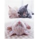 YISUMEI Printed Cuddly Blanket Sleeping Cats Blanket Soft Flannel Fleece Blanket 150 x 200 cm YISUMEI Printed Cuddly Blanket Sleeping Cats Blanket Soft Flannel Fleece Blanket 150 x 200 cm