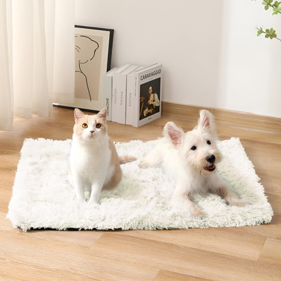 ZSMJAER Heat Blankets for Dogs and Cats, Pets Cat Blanket Heat Mat, Cat Bed Fluffy, Double-Sided Plush Blanket for Dog Bed and Cat Bed, Keeps You Noticeable, 80 x 53 cm (White) ZSMJAER Heat Blankets for Dogs and Cats, Pets Cat Blanket Heat Mat, Cat Bed Fluffy, Double-Sided Plush Blanket for Dog Bed and Cat Bed, Keeps You Noticeable, 80 x 53 cm (White)