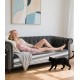 Zaxiva Scratch Protection Sofa Cat, 5 m x 30 cm, Self-Adhesive Scratching Film, Transparent Anti-Scratch Film for Cats, Scratch Protection for Dog Doors, Sofa Protection Cat, Scratch Protection Wall Zaxiva Scratch Protection Sofa Cat, 5 m x 30 cm, Self-Adhesive Scratching Film, Transparent Anti-Scratch Film for Cats, Scratch Protection for Dog Doors, Sofa Protection Cat, Scratch Protection Wall