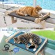 Zvonema Cat Hammock, Cat Window Lounger, Sturdy Large Cat Hammock, Wooden Cat Bed Window with Removable Thick Cover, Comfortable Cat Bed Windowsill, Space-Saving Design up to 30 kg