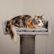 dobar® Premium Scratchy Wooden Cat Scratching Post with Extra Large and Sturdy Scratching Posts in Fancy Design – Also Suitable for Large Cats – 35 x 60 x 100 cm dobar® Premium Scratchy Wooden Cat Scratching Post with Extra Large and Sturdy Scratching Posts in Fancy Design – Also Suitable for Large Cats – 35 x 60 x 100 cm