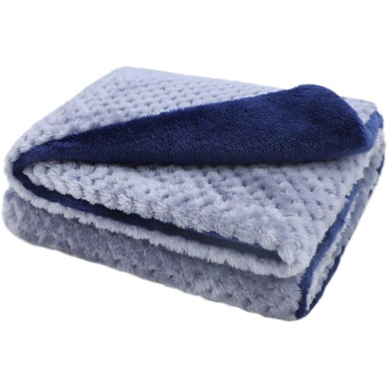 furrybaby Premium Fluffy Fleece Dog Blanket, Soft and Warm Pet Throw for Dogs and Cats (Blue, Size L (100 x 120 cm) furrybaby Premium Fluffy Fleece Dog Blanket, Soft and Warm Pet Throw for Dogs and Cats (Blue, Size L (100 x 120 cm)