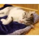 furrybaby Premium Fluffy Fleece Dog Blanket, Soft and Warm Pet Throw for Dogs and Cats (Blue, Size L (100 x 120 cm) furrybaby Premium Fluffy Fleece Dog Blanket, Soft and Warm Pet Throw for Dogs and Cats (Blue, Size L (100 x 120 cm)