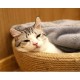 furrybaby Premium Fluffy Fleece Dog Blanket, Soft and Warm Pet Throw for Dogs and Cats (Pink, Size M (80 x 100 cm) furrybaby Premium Fluffy Fleece Dog Blanket, Soft and Warm Pet Throw for Dogs and Cats (Pink, Size M (80 x 100 cm)