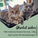 riijk Window Cat Hammock for Cats up to 23 kg, Extra Stable Window Lounger for Cats, Cat Bed Window Seat riijk Window Cat Hammock for Cats up to 23 kg, Extra Stable Window Lounger for Cats, Cat Bed Window Seat