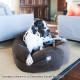 suede bagel-shaped dog bed suede bagel-shaped dog bed
