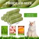 2 Packs of Cat Grass Sticks, Cat Grass Snack, Cat Grass Teether Sticks, Cat Grass Teething Sticks for House Cats, for Cats for Dental Care, to Improve Cat Digestion (100 g) 2 Packs of Cat Grass Sticks, Cat Grass Snack, Cat Grass Teether Sticks, Cat Grass Teething Sticks for House Cats, for Cats for Dental Care, to Improve Cat Digestion (100 g)