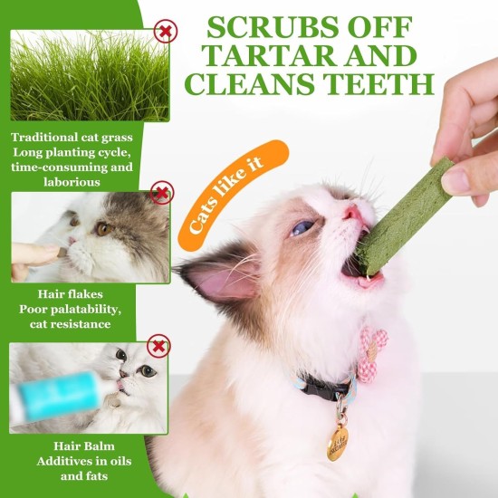 2 Packs of Cat Grass Sticks, Cat Grass Snack, Cat Grass Teether Sticks, Cat Grass Teething Sticks for House Cats, for Cats for Dental Care, to Improve Cat Digestion (100 g) 2 Packs of Cat Grass Sticks, Cat Grass Snack, Cat Grass Teether Sticks, Cat Grass Teething Sticks for House Cats, for Cats for Dental Care, to Improve Cat Digestion (100 g)