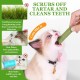2 Packs of Cat Grass Sticks, Cat Grass Snack, Cat Grass Teether Sticks, Cat Grass Teething Sticks for House Cats, for Cats for Dental Care, to Improve Cat Digestion (100 g) 2 Packs of Cat Grass Sticks, Cat Grass Snack, Cat Grass Teether Sticks, Cat Grass Teething Sticks for House Cats, for Cats for Dental Care, to Improve Cat Digestion (100 g)