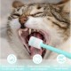 3 Stück Hundezahnbürste,360 Grad Katzen Zahnbürste Weich,Langgriff Katzenzahnbürste für Katzen,Wiederverwendbar Hundezahnbürste für Kleine Hunde,Haustiere Silikon Toothbrush,für Dogs,Katzen Zahnpflege 3 Stück Hundezahnbürste,360 Grad Katzen Zahnbürste Weich,Langgriff Katzenzahnbürste für Katzen,Wiederverwendbar Hundezahnbürste für Kleine Hunde,Haustiere Silikon Toothbrush,für Dogs,Katzen Zahnpflege