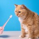 3 Stück Hundezahnbürste,360 Grad Katzen Zahnbürste Weich,Langgriff Katzenzahnbürste für Katzen,Wiederverwendbar Hundezahnbürste für Kleine Hunde,Haustiere Silikon Toothbrush,für Dogs,Katzen Zahnpflege 3 Stück Hundezahnbürste,360 Grad Katzen Zahnbürste Weich,Langgriff Katzenzahnbürste für Katzen,Wiederverwendbar Hundezahnbürste für Kleine Hunde,Haustiere Silikon Toothbrush,für Dogs,Katzen Zahnpflege