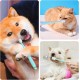 3 Stück Hundezahnbürste,360 Grad Katzen Zahnbürste Weich,Langgriff Katzenzahnbürste für Katzen,Wiederverwendbar Hundezahnbürste für Kleine Hunde,Haustiere Silikon Toothbrush,für Dogs,Katzen Zahnpflege 3 Stück Hundezahnbürste,360 Grad Katzen Zahnbürste Weich,Langgriff Katzenzahnbürste für Katzen,Wiederverwendbar Hundezahnbürste für Kleine Hunde,Haustiere Silikon Toothbrush,für Dogs,Katzen Zahnpflege