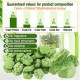 50 g Cat Grass Snacks, Freeze-Dried Snacks for Cats, Cat Grass Ready Grown for Dental Care, Cat Grass Sticks Hair Balls Removal 50 g Cat Grass Snacks, Freeze-Dried Snacks for Cats, Cat Grass Ready Grown for Dental Care, Cat Grass Sticks Hair Balls Removal