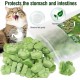 50 g Cat Grass Snacks, Freeze-Dried Snacks for Cats, Cat Grass Ready Grown for Dental Care, Cat Grass Sticks Hair Balls Removal 50 g Cat Grass Snacks, Freeze-Dried Snacks for Cats, Cat Grass Ready Grown for Dental Care, Cat Grass Sticks Hair Balls Removal